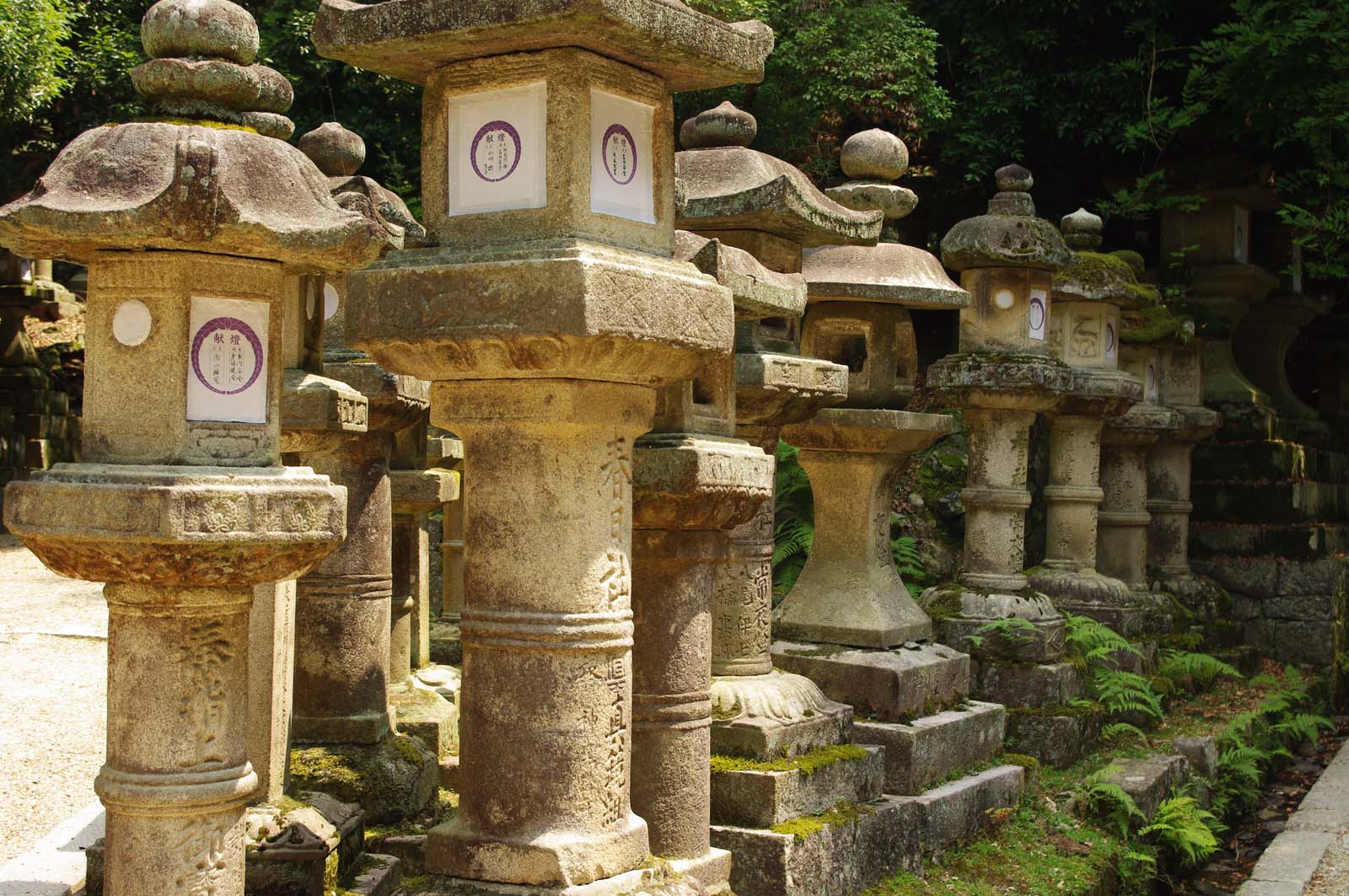 Stone lanterns